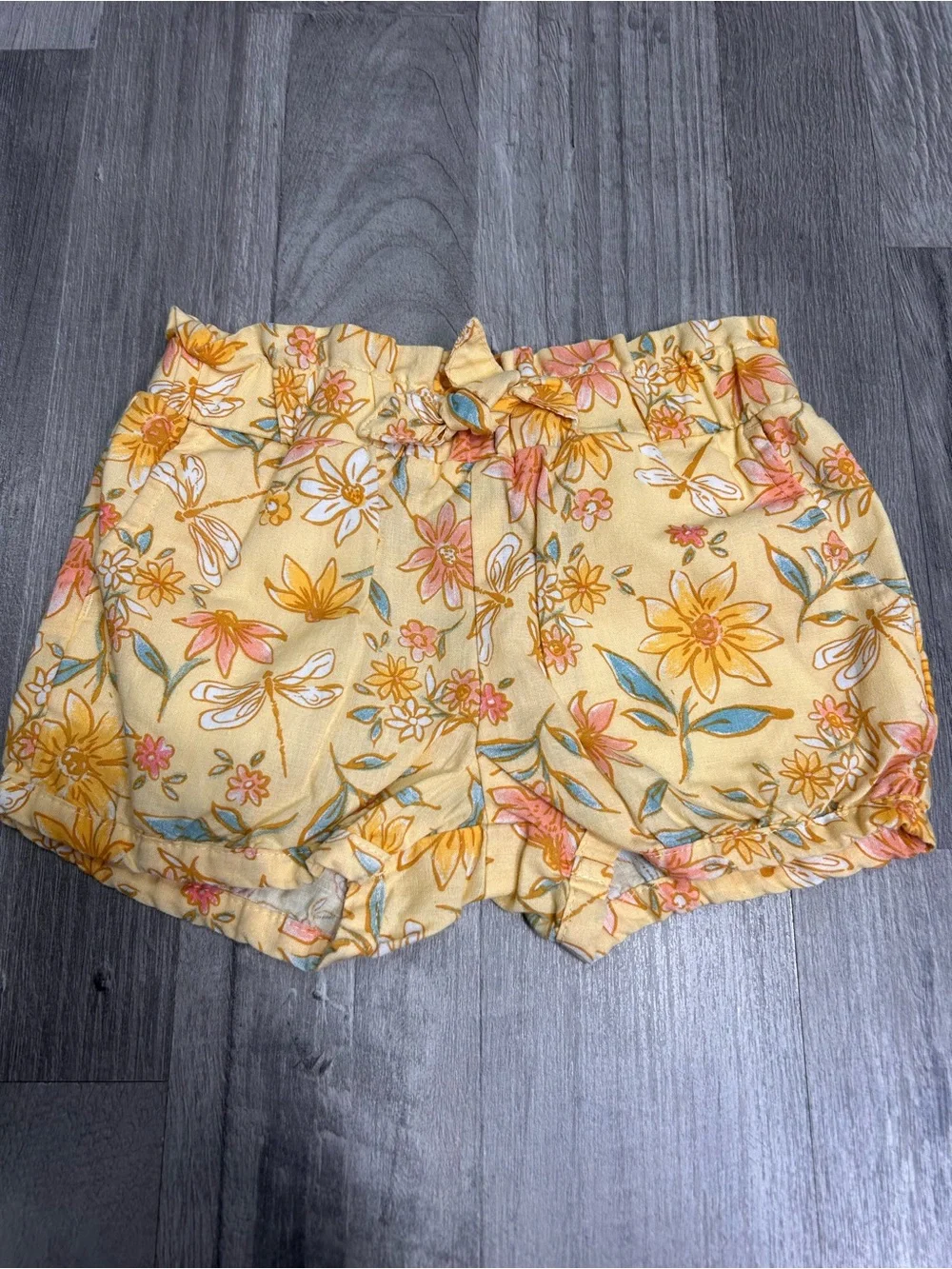 Toddler Girls Short Bundle 4T